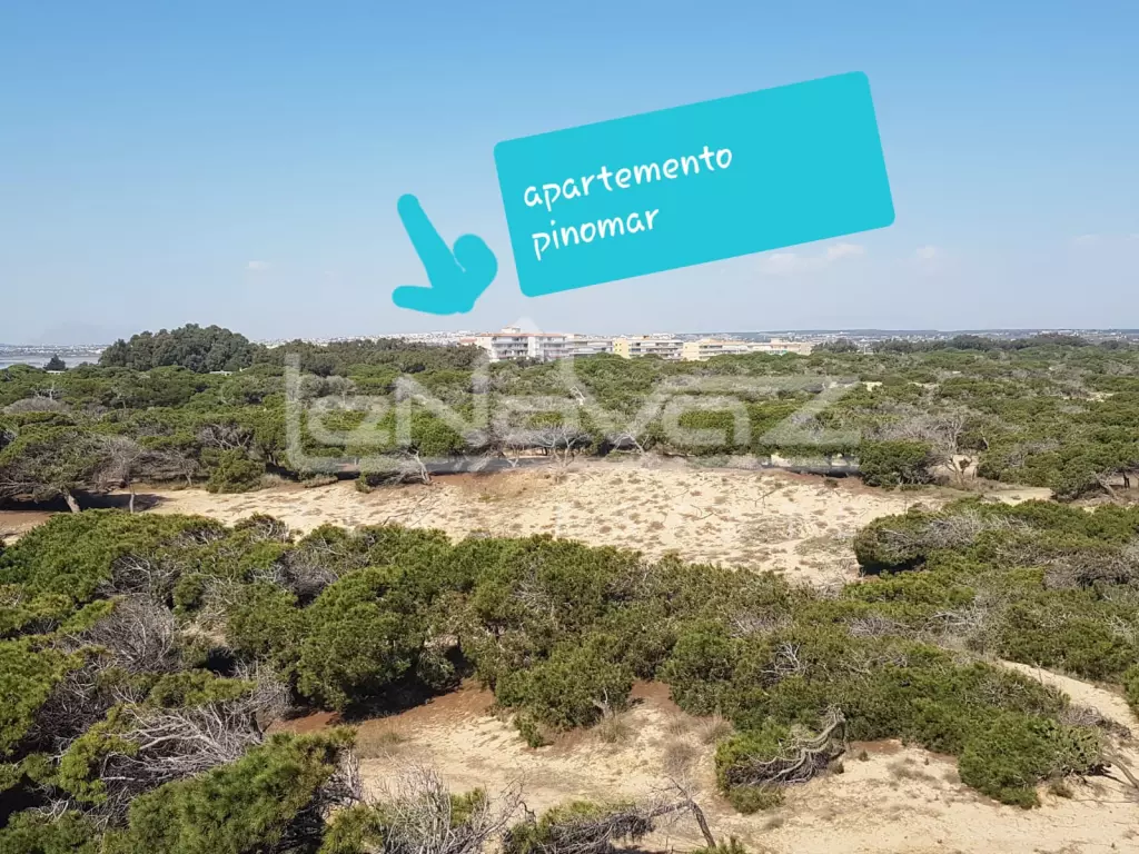 Apartamento en La Mata, Ref.1063-7