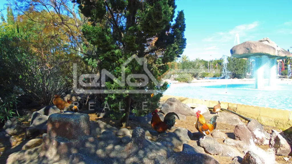 Apartamento en Torrevieja 46 m², Ref.1162-10