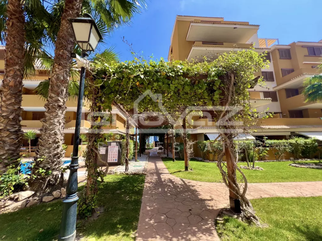 Apartamento en Punta Prima, Ref.915-29