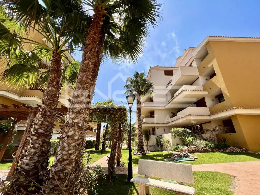 Apartamento en Punta Prima, Ref.915-31
